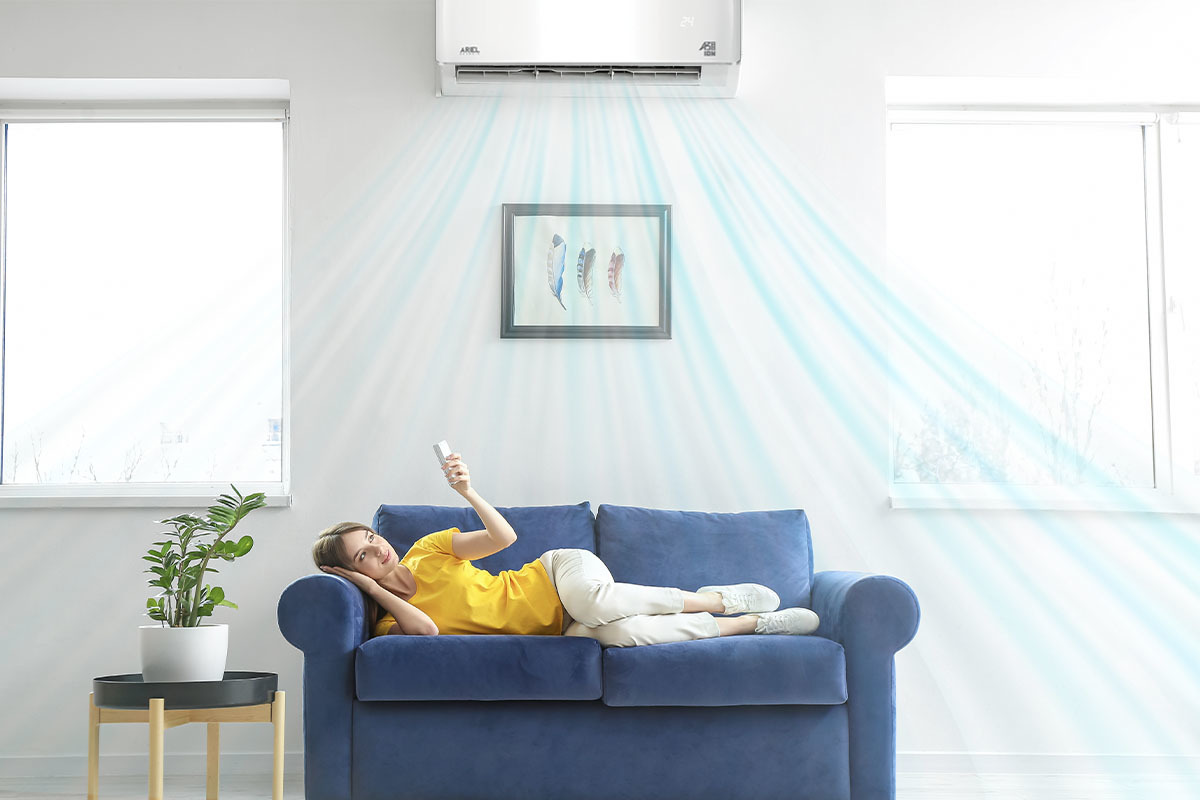 Aria climatizzata